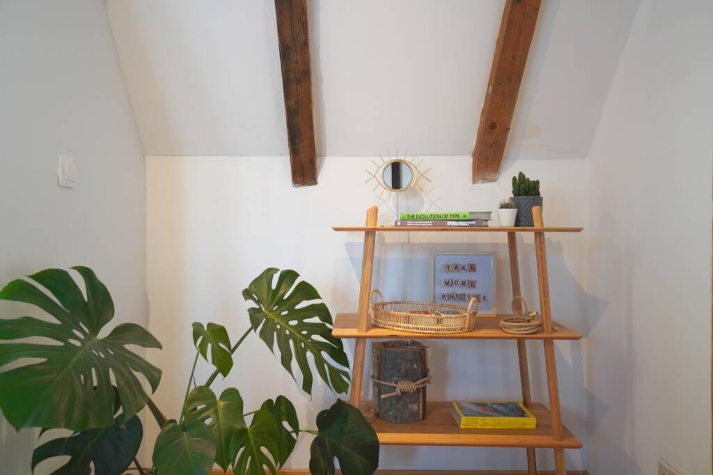 Apartment Contemporary Boho Style Loft Center Sofia