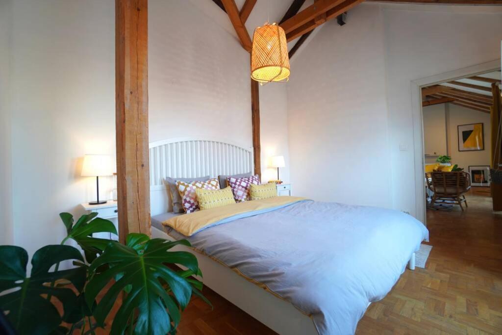 Contemporary Boho Style Loft Center Sofia