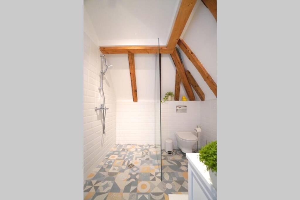 Contemporary Boho Style Loft Center Apartament Sofia